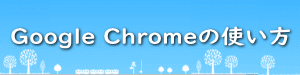 Google Chrome̎g